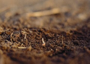 estructura del suelo