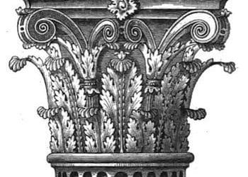 Dibujo de una capitel corintio con decoración de hojas de acanto.