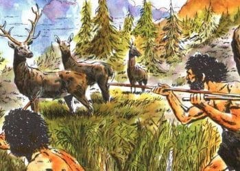 relación del hombre con la naturaleza