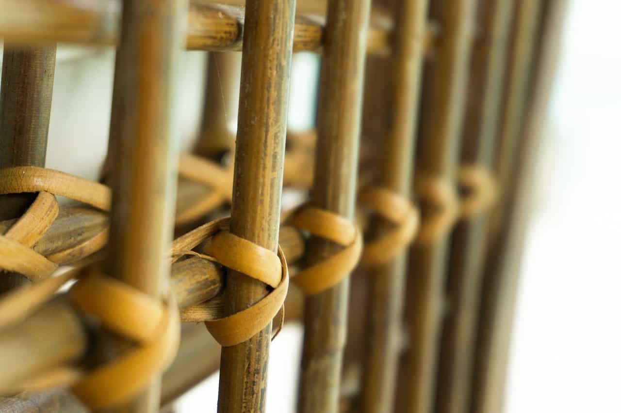 El Bambú en la construcción: Los 4 tipos más utilizados