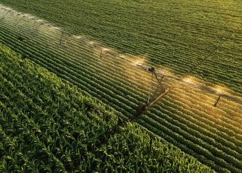 Qué es la Hidrosiembra