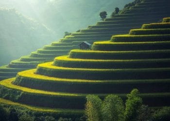 desarrollo sustentable